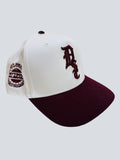 Gamecocks Calabasas Classic Cap